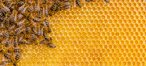 Raw, Local, 100% Natural Honey