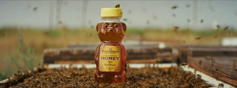 12 oz. Beaverhead Clover Honey Bear